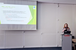 Высочина XVII.