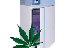 Участие в международной конференции Cannabis and Science X в Брно