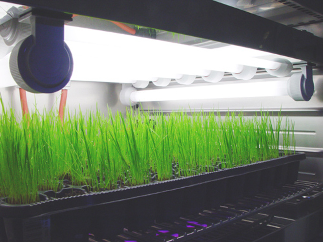 Фотогалерея CLIMACELL®
