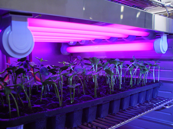 Фотогалерея CLIMACELL®
