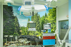 Больница Йиндржихув-Градец